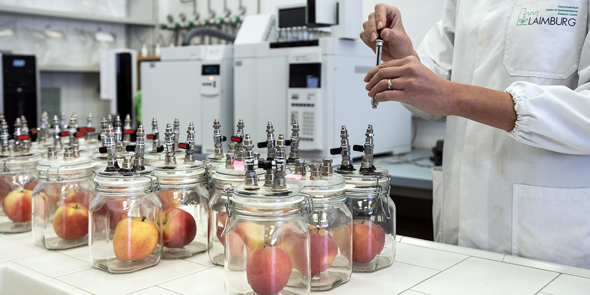 Mele e castagne: le nuove sfide della frigoconservazione